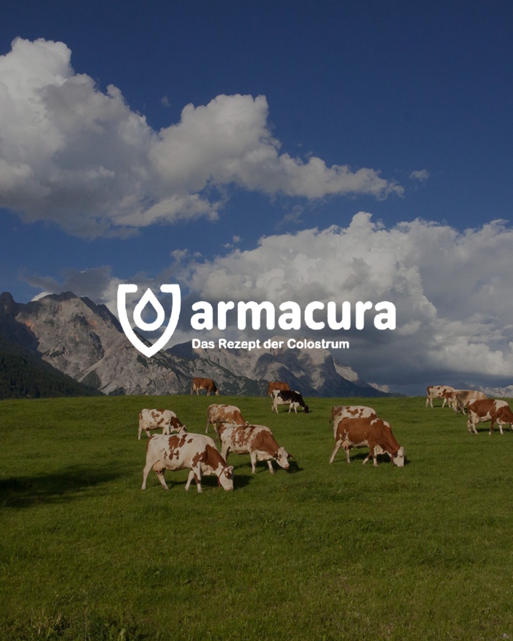 ARMACURA