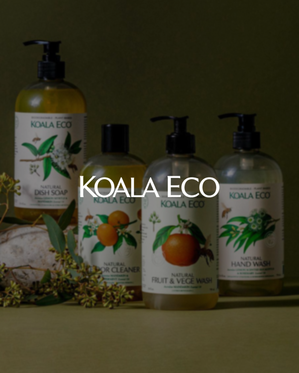 KOALA ECO