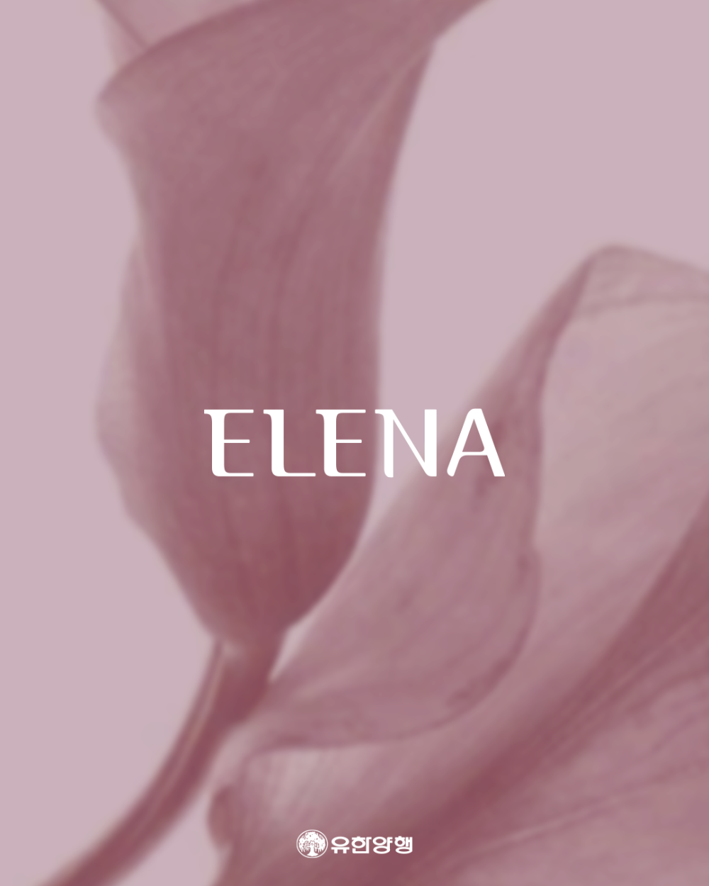ELENA