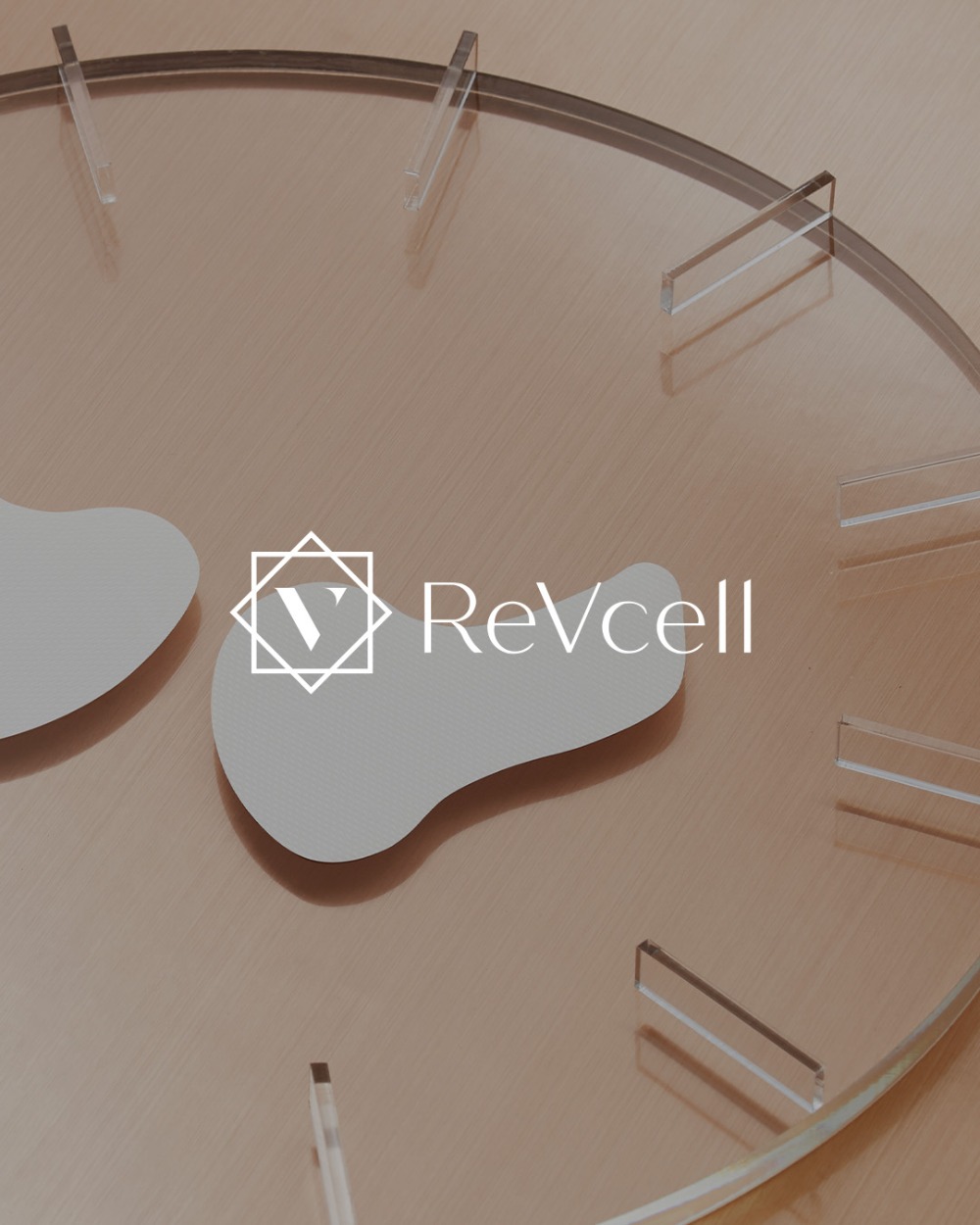 ReVcell